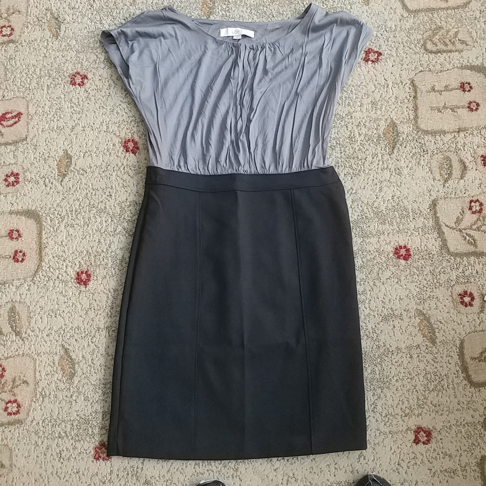Ann Taylor Loft dress